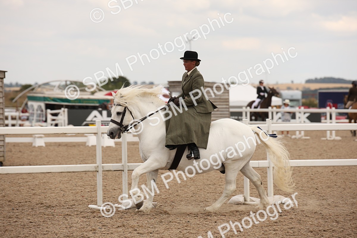 SBM_05360 - Class 22 SSA Equitation