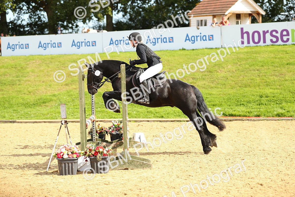 SBM_67301 - J17 - Junior Pony 80cm Championship