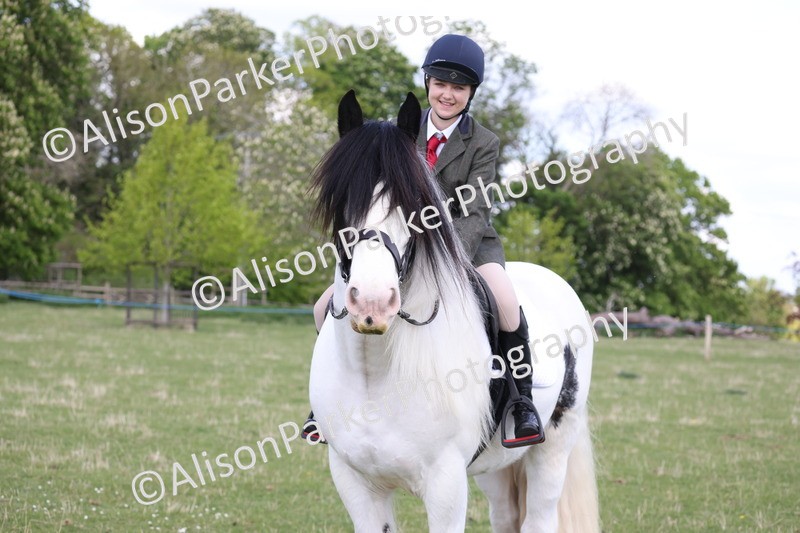 20250427-4087 - Class 34 - Best Riding Horse Over 14.2hh