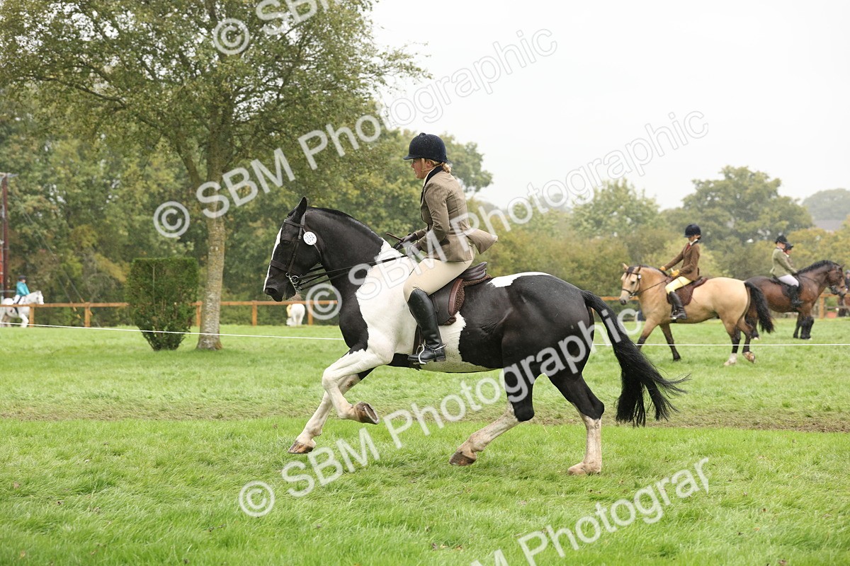 SBM_69817 - S69 - Show Cob Ridden