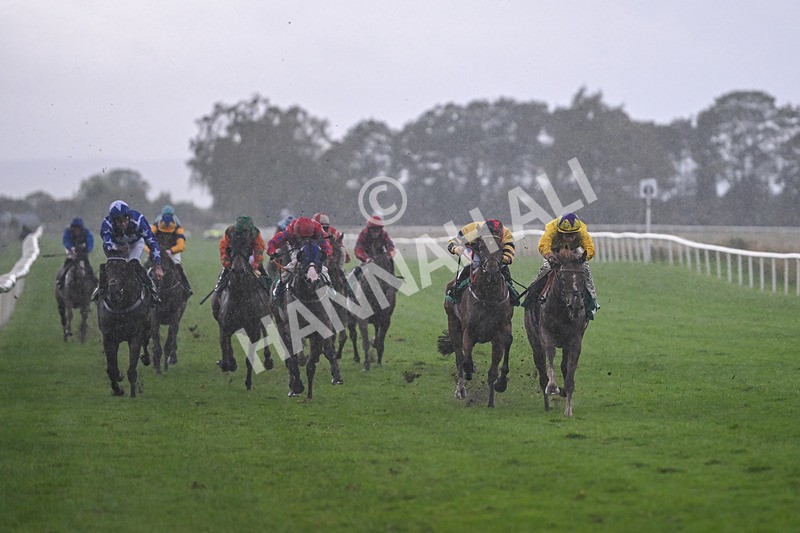 150925-Race 6-Day Of Grace-3112 - Race 6