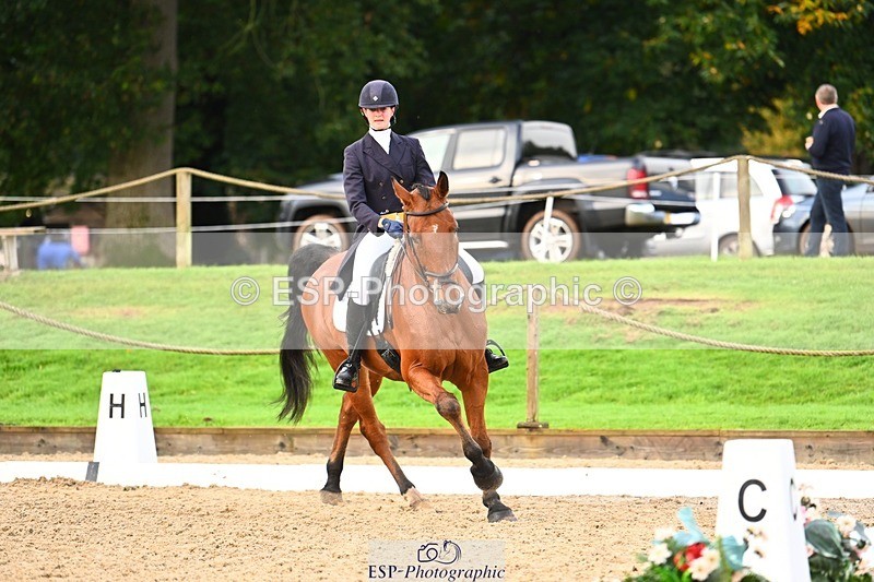 231021-093739-12866 - 327-ENSOR.VAN.HET.HELLEHOF-Francesca.Swallow-DR