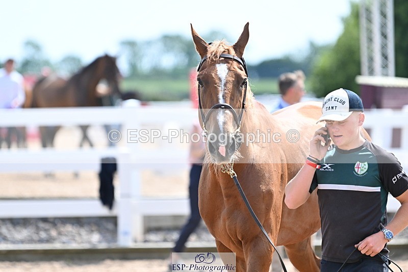240717A-145914-02401 - Trot Up 2pm to 3pm - This folder is not in time order