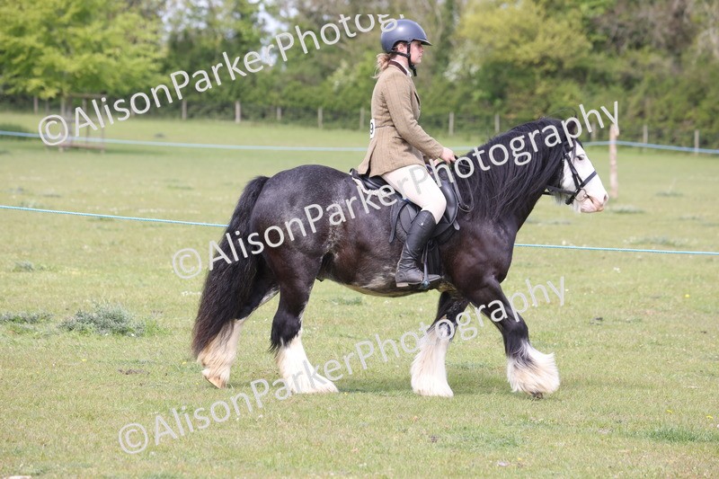 20260426-2890 - Class 33 - Best Pony 14.2hh and Under