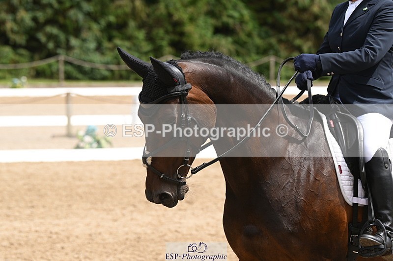 250720A-142631-11766 - 060-Anne.Shrubshall-Hfradin