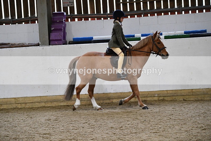 WJ5_7179 - Class 11 Ridden PC - RC Pony