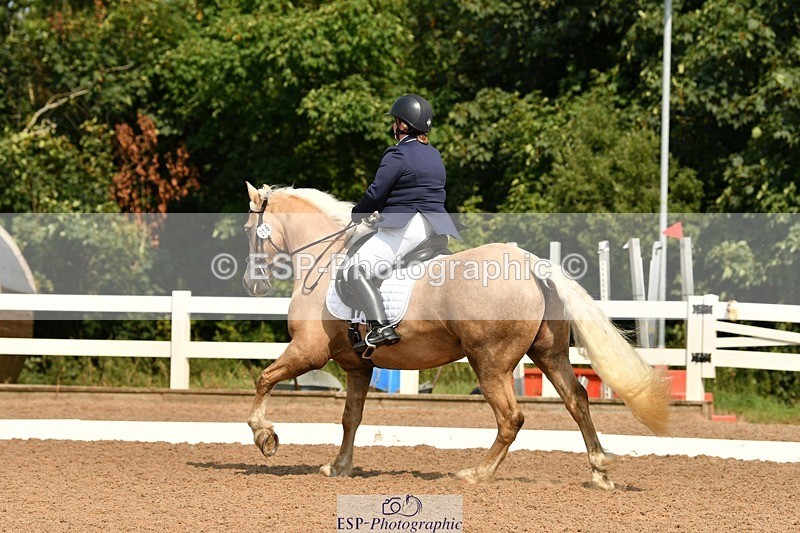 250817-112844-08590 - 216-Chloe.WaltonHaytors.Lord.of.the.Dance