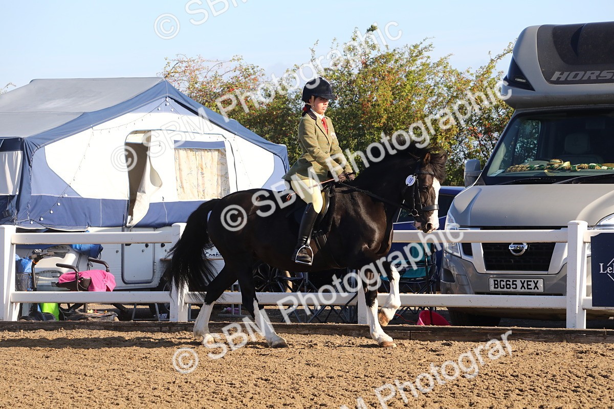 SBM_07897 - Class 501 - Riding Club Pony