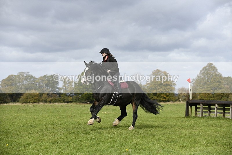 _DSC7731 - Time 12:55 to 13:13