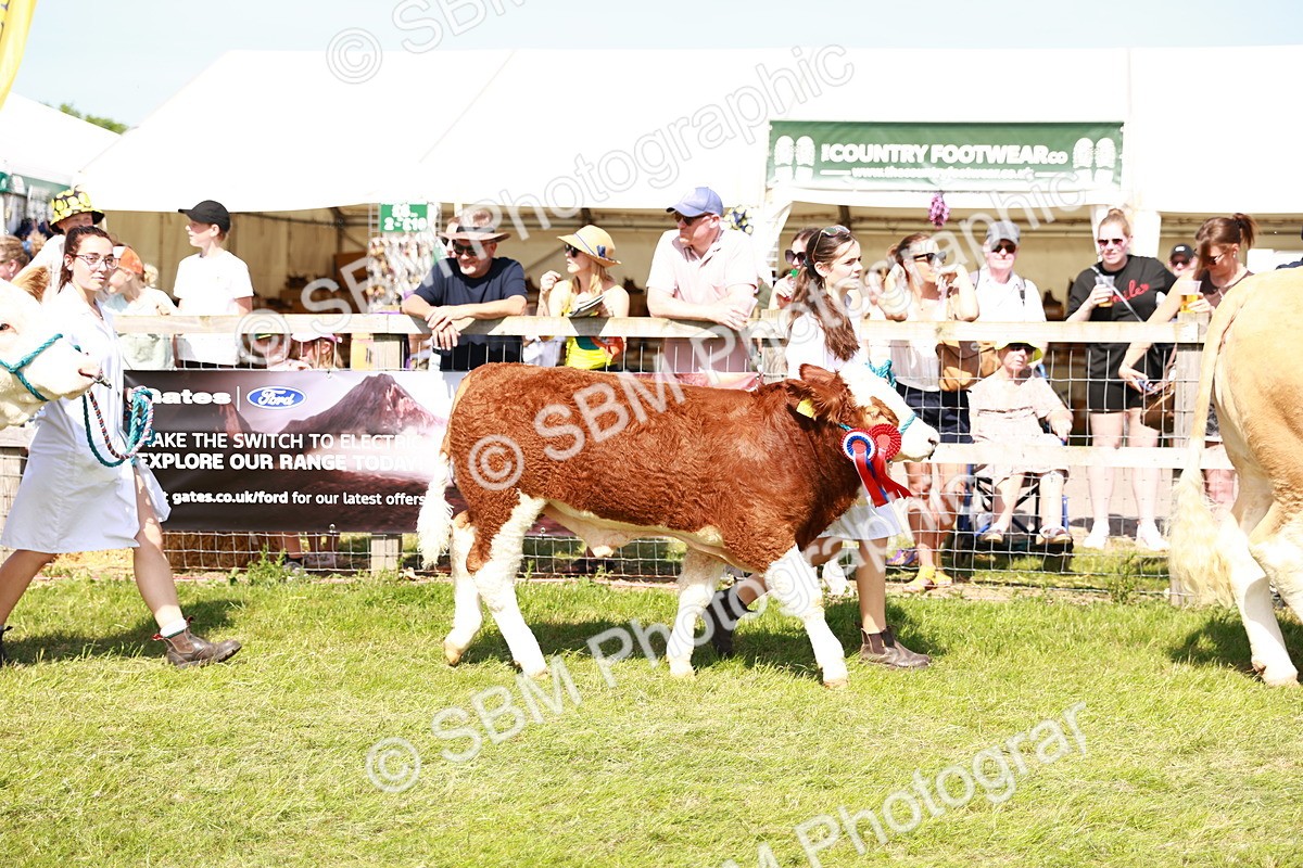 SBM_08357 - Grand Parade