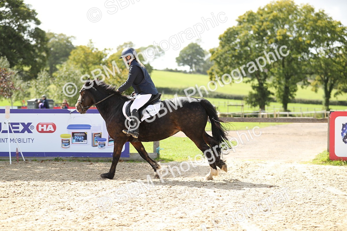 SBM_05855 - J35 - Veteran Rider 60cm