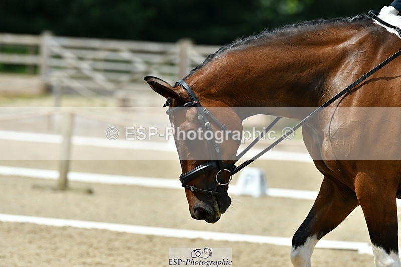 230623-111606-00410 - Cls 3 Novice 23 Start to 11.55 break