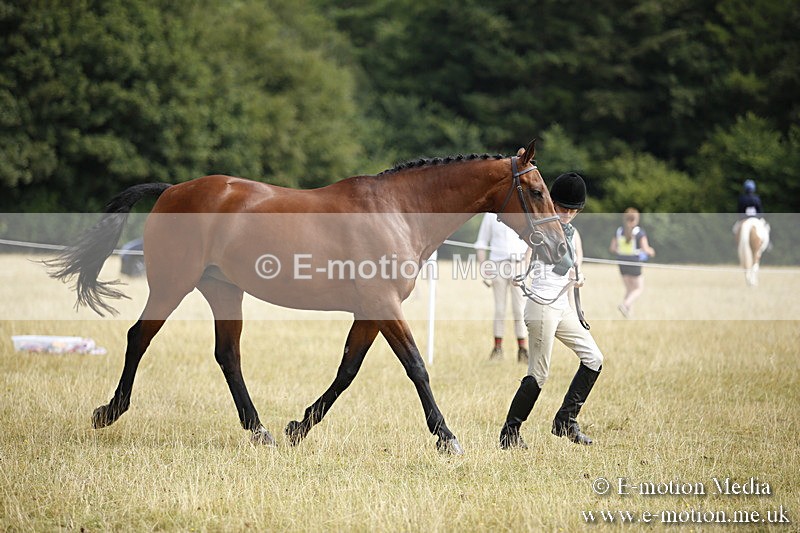 _C7A9648 - BVRC Sow 2018 Ring 2