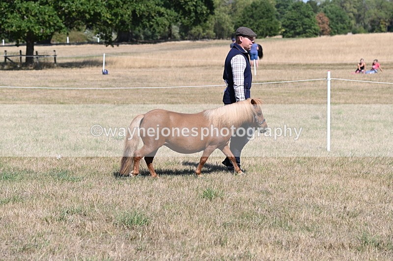 WJ6_4413 - Class 17 Mountain & Moorland