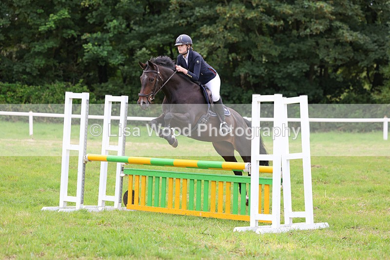 3E7A6990 - Class 5: Senior British Novice/90cm open