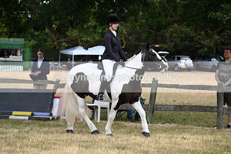 WJ6_3906 - Class 9 Tack & Turnout