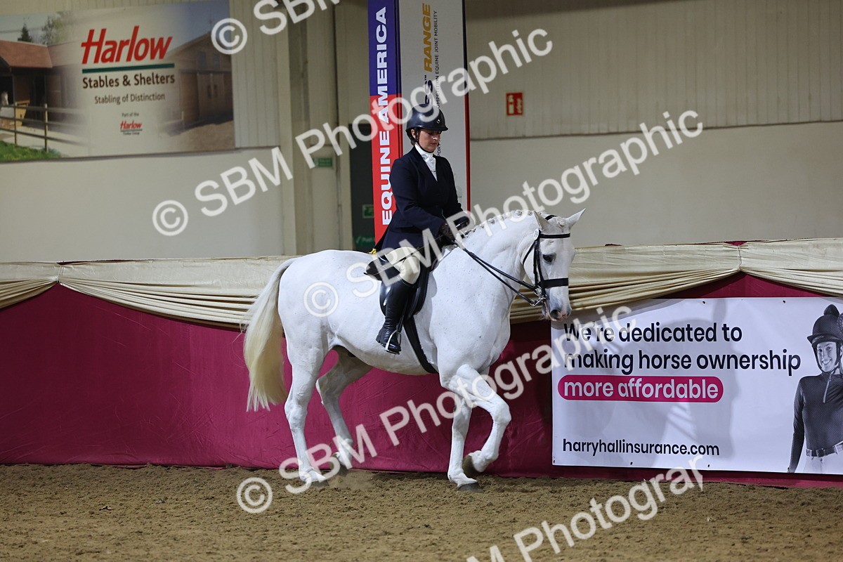 0B8A4443 - Class O Ridden Show Horse Champ