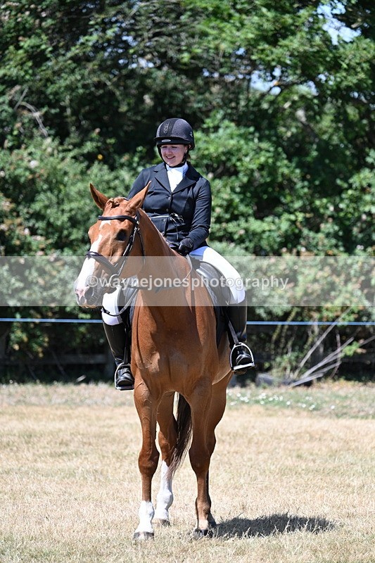 WJ7_3175 - Class 7 Riding Club Show Horse