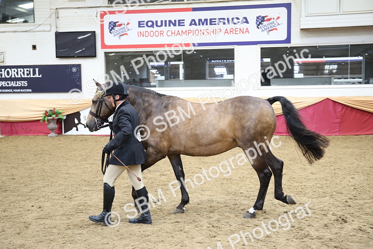 SBM_24723 - Class 906 - Supreme Final - Ridden Pre Vet