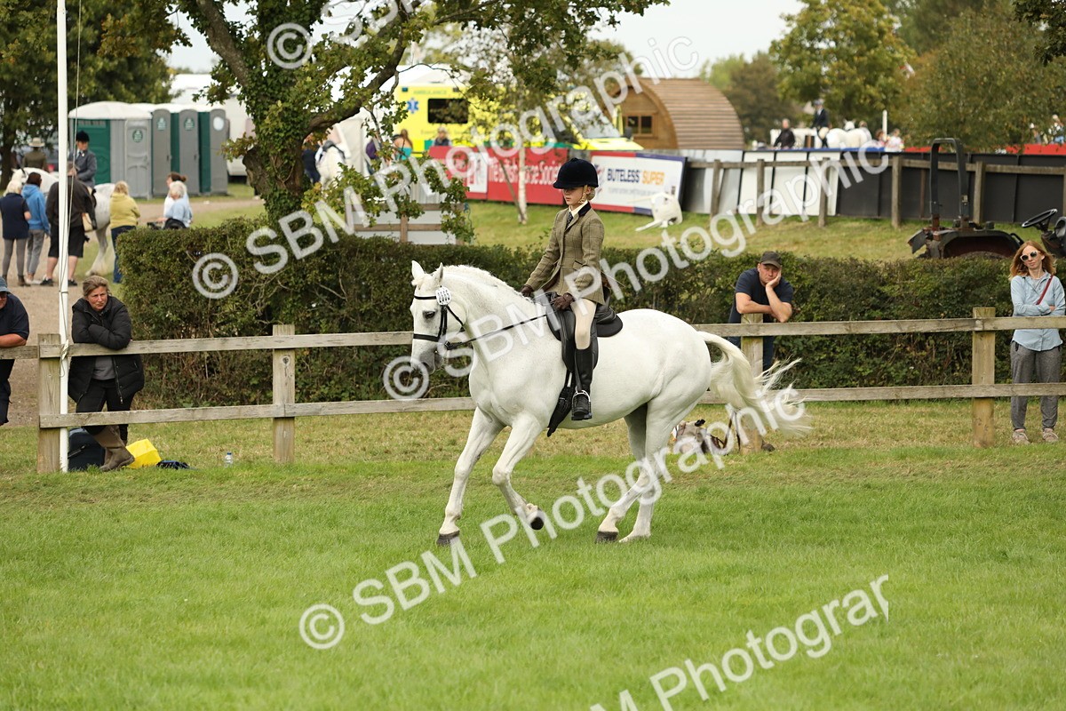 SBM_71677 - S41 - Ridden Equitation (Best Rider)