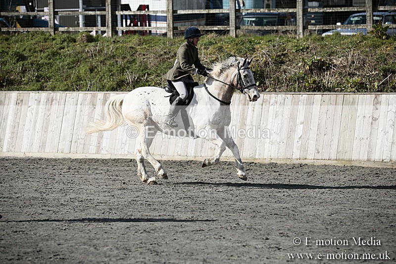 BVRC SJ 170319 128 - Bourne Valley Riding Club Showjumping 17/03/19