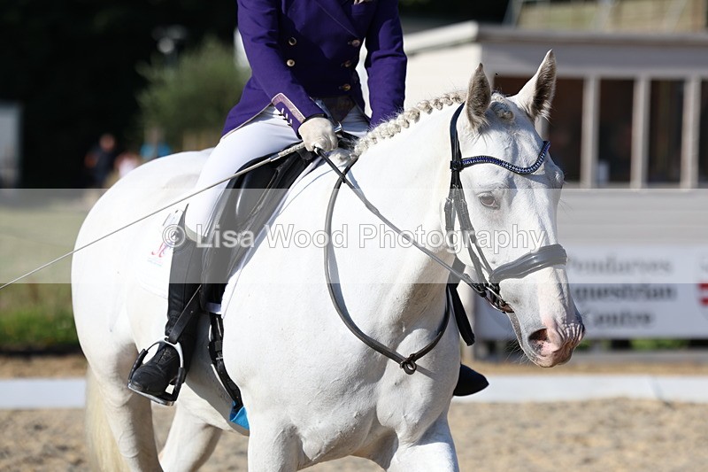 3E7A3876 - Class 3: Prelim 1 2024 Section A