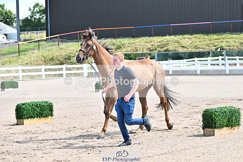 240718A-105238-00949 - Trot Up 11am to 12pm