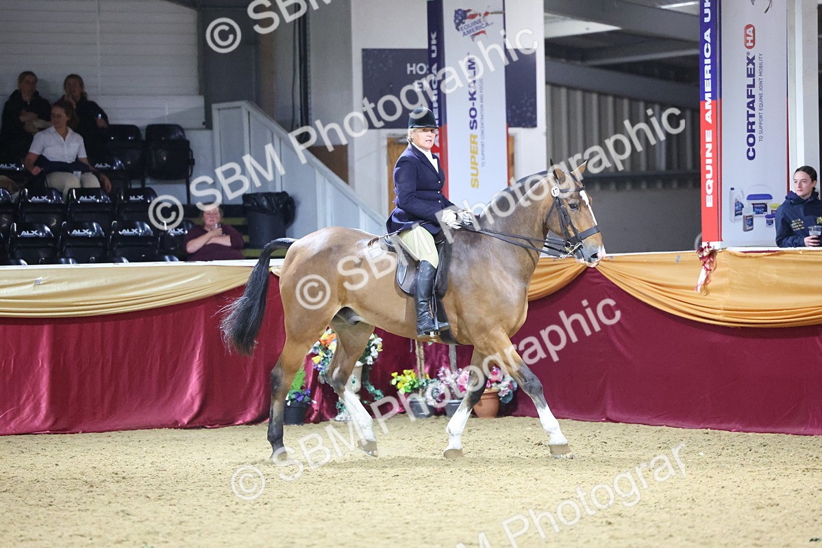 0B8A4478 - Class O Ridden Show Horse Champ