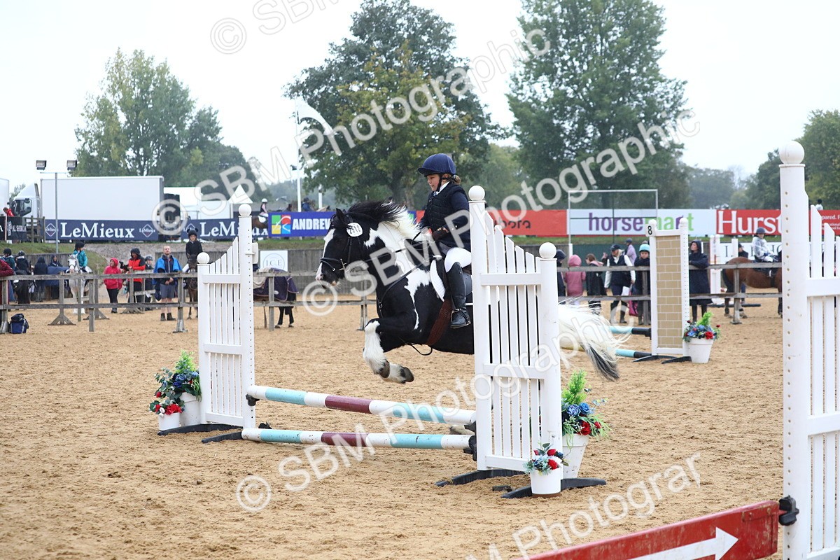 SBM_71620 - J4 - Mini Tour Junior Pony 45cm Championship