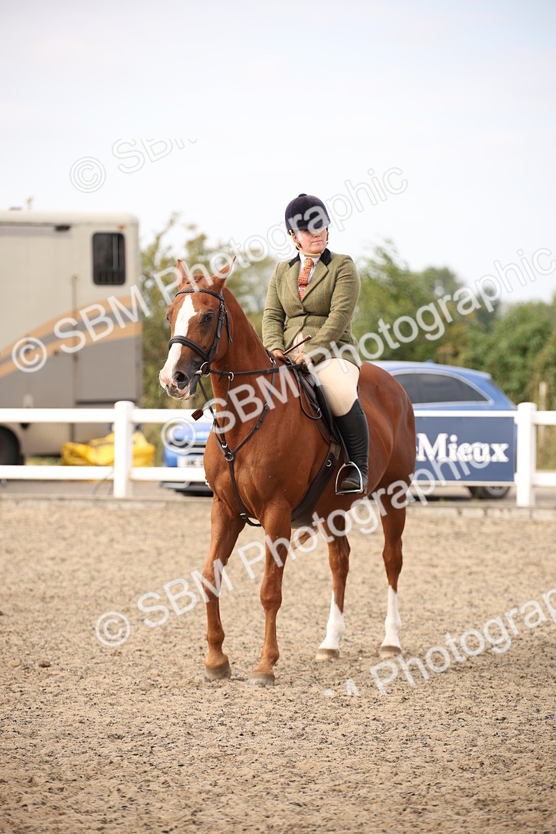 SBM_17321 - Class 410a - Wor5king Veteran 90cm (15-19)