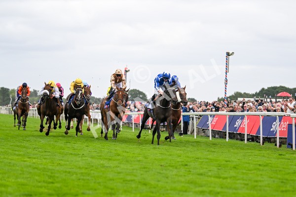200825-Race 5-Santorini Star-1827 - Race 5 4.10pm Sky Bet Stayers Handicap