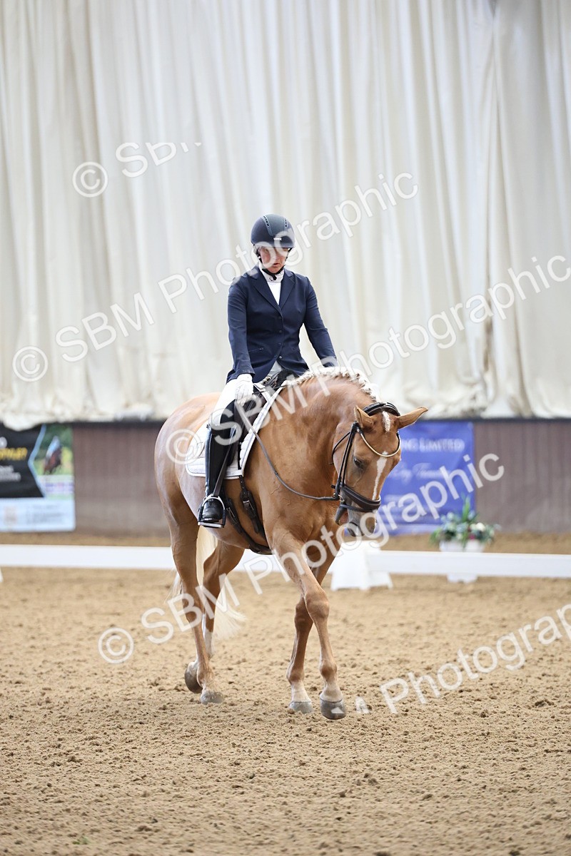 SBM_002069 - Class 5 - Novice 6 Gold - 9.00-10.10