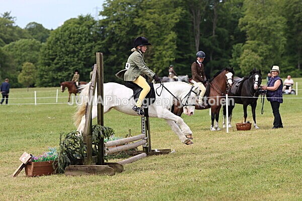 IMG_2532 - Working Hunter