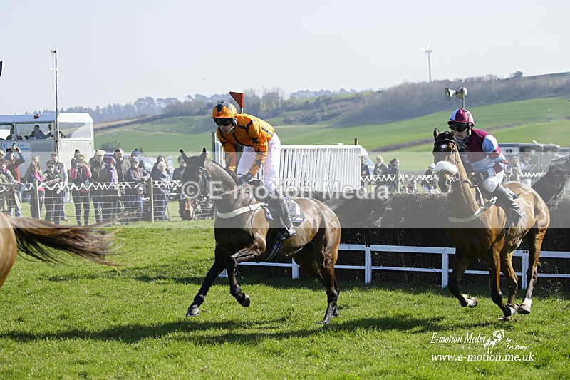 PtP 190322 495 - Wilton Hunt PtP Milborne St Andrew 19/03/22