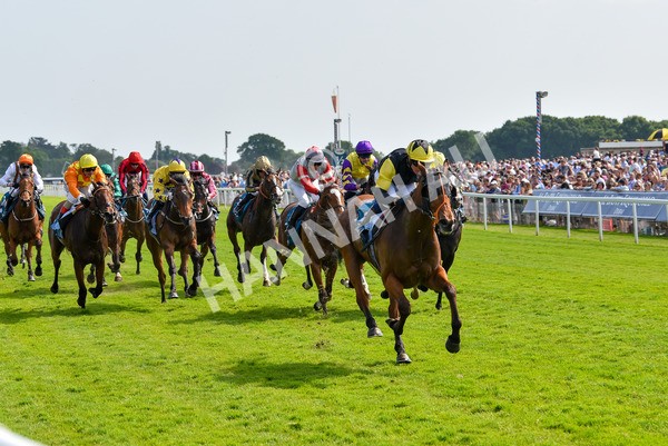 270523-Race 5-Starnberg-4497 - Race 5 3.50pm William Hill Extra Place Races Daily Handicap