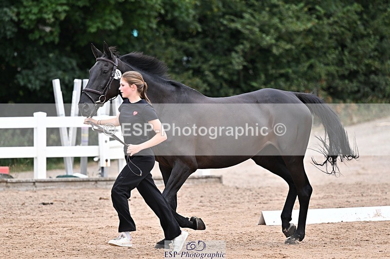 250716-134059-00627 - Trot Up 1.30 to 2.30