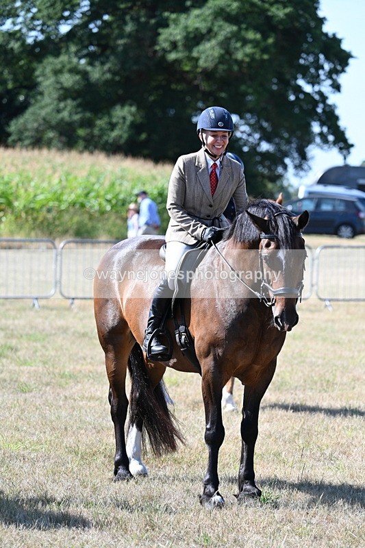WJ7_3646 - Class 9 Mountain & Moorland Ridden