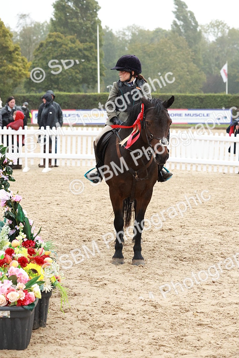 SBM_73609 - Supreme Championship Junior Pony 60cm & 65cm