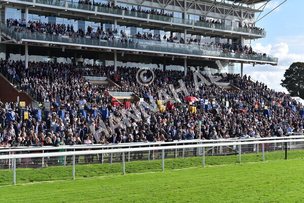 yr08102022r1-15 - Race 1 1.30pm The Coral Play 'Racing-Super-Series' for Free Nursery Handicap