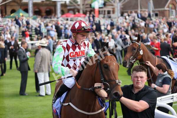 yr18082021r1-26 - Race 1 1.50pm Sky Bet & Symphony Group Stakes