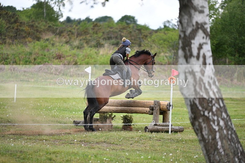 WJ5_5431 - Time 13:23 to 13:46