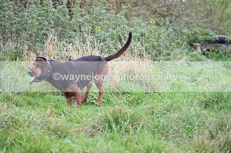 WJ7_8982 - Camera 1 only on this line