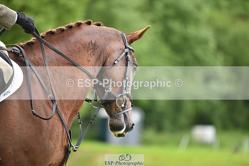 240523B-100136-01677 - 4 Year Old