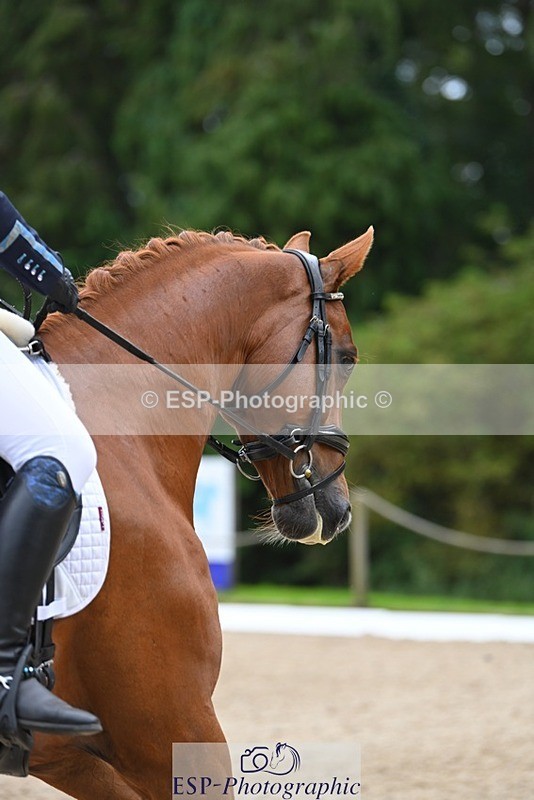 230813-152059-08181 - Cls 14 Medium Silver Start to 16.25 break