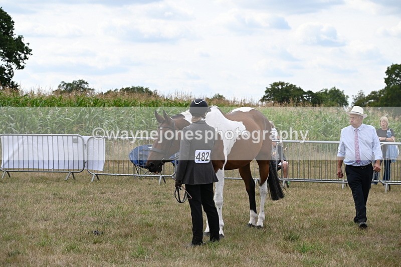 WJ6_6061 - Class 19 In-hand Veterans (Uploaded correct folder)