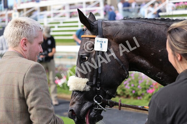 yr08072022r6-31 - Race 6 5.00pm Irish Thoroughbred Marketing Stakes