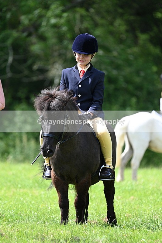 WJ7_1386 - Class 11 Condition & Turnout