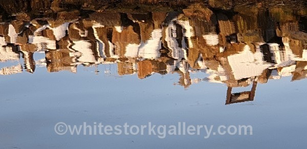  - NEW Winter Reflection