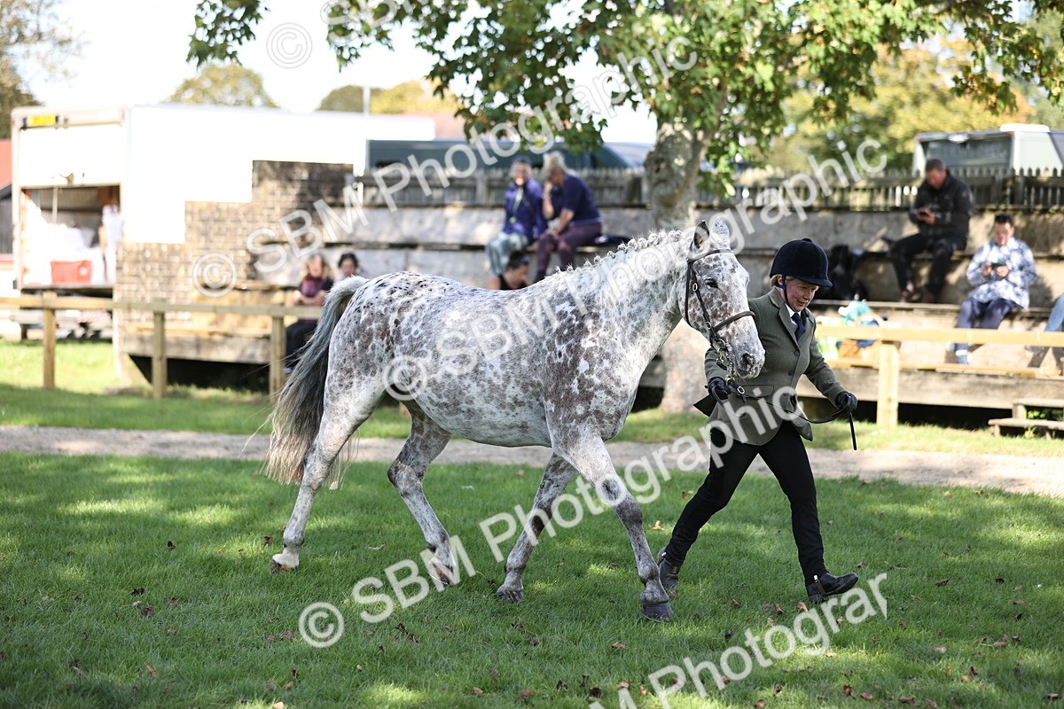 SBM_26241 - S5 - Novice & Newcomers In Hand