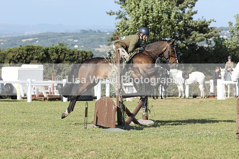 JPP_3140 - Class 21: Working Hunter 80cm